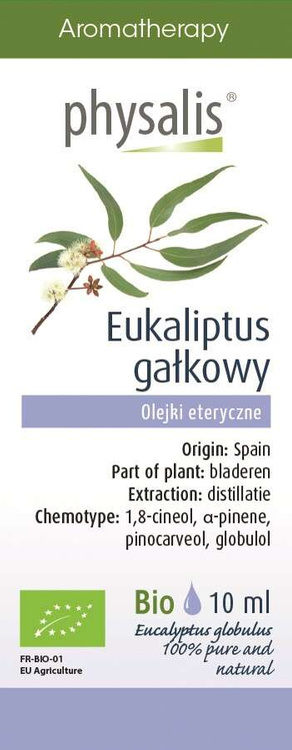 Physalis | Olejek eteryczny eukaliptus gałkowy 10 ml | ORGANIC